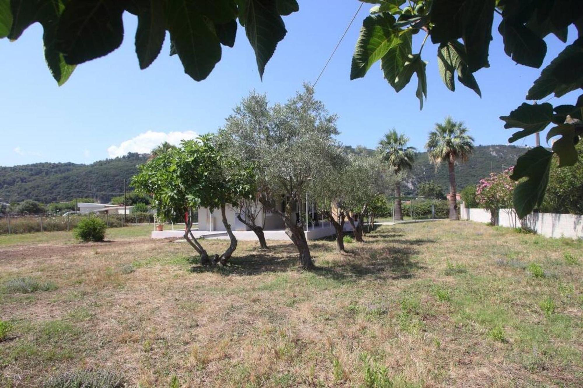 Olga Home Agios Ioannis Lefkada - Lefkada Bnb Exterior foto